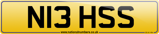 N13 HSS