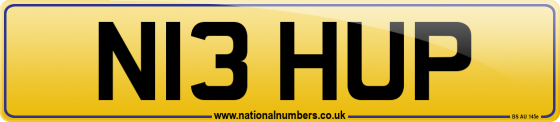 N13 HUP