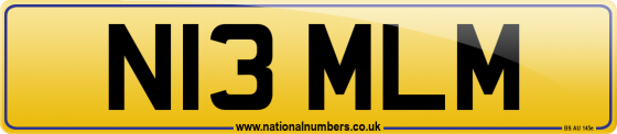 N13 MLM