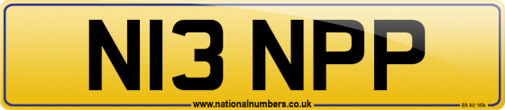 N13 NPP
