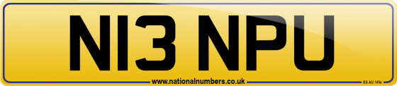 N13 NPU