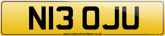 N13 OJU