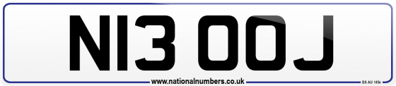 N13 OOJ