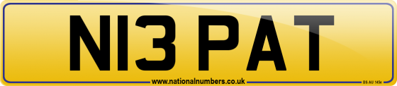N13 PAT