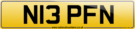 N13 PFN