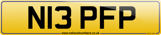 N13 PFP