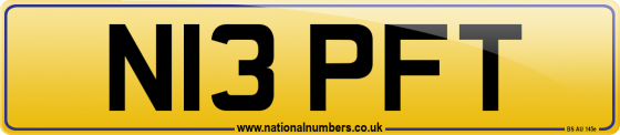 N13 PFT