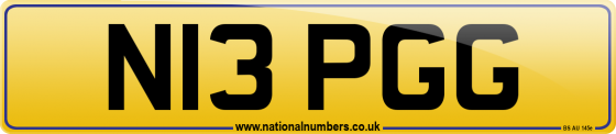N13 PGG