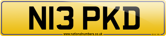 N13 PKD