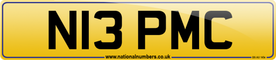 N13 PMC