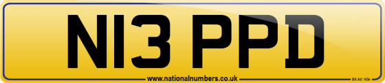 N13 PPD