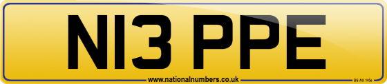 N13 PPE