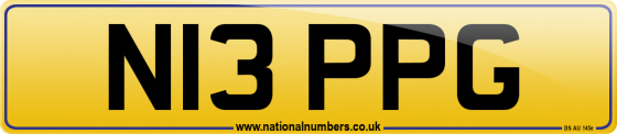 N13 PPG