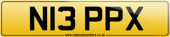 N13 PPX