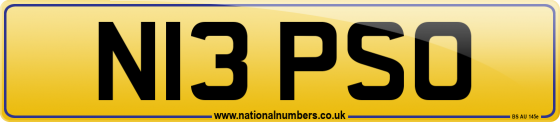 N13 PSO