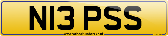 N13 PSS