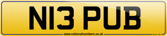 N13 PUB