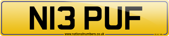 N13 PUF