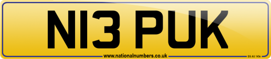 N13 PUK