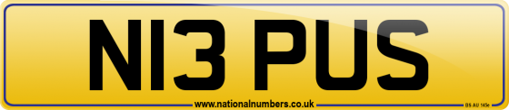 N13 PUS