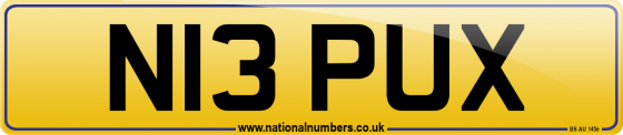 N13 PUX