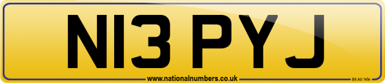 N13 PYJ