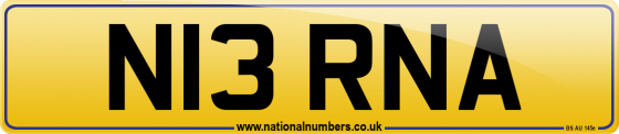 N13 RNA