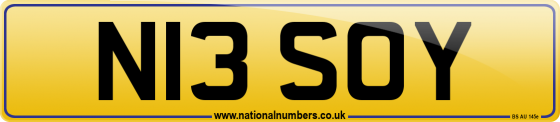N13 SOY