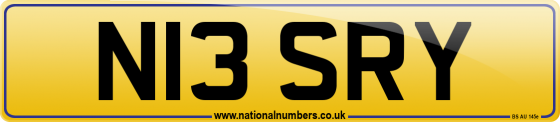 N13 SRY