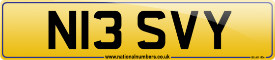 N13 SVY