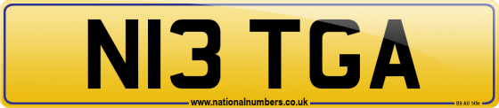N13 TGA