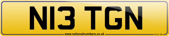 N13 TGN