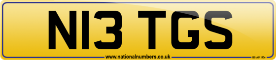 N13 TGS