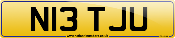 N13 TJU