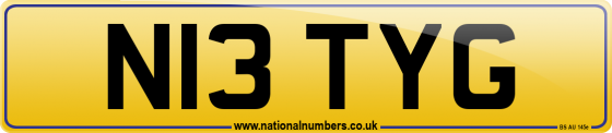 N13 TYG
