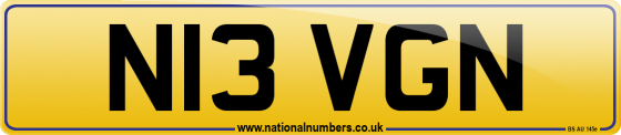 N13 VGN
