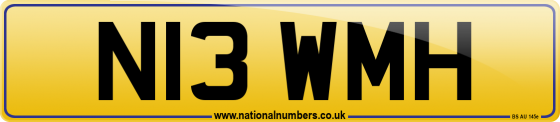 N13 WMH