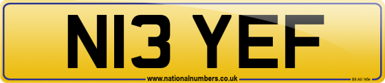 N13 YEF