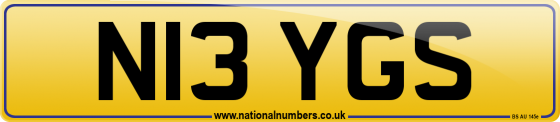 N13 YGS