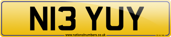 N13 YUY