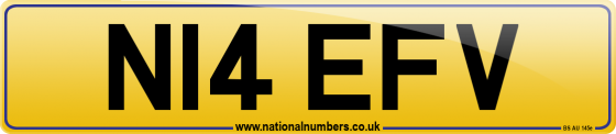 N14 EFV