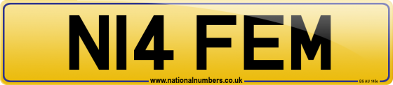 N14 FEM
