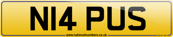 N14 PUS