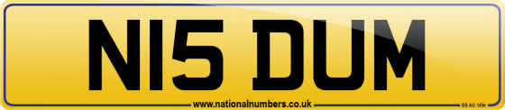 N15 DUM