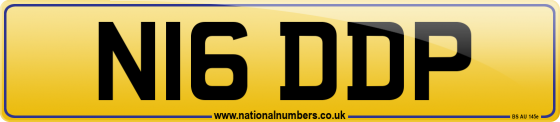 N16 DDP