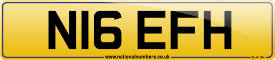 N16 EFH