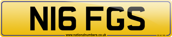 N16 FGS