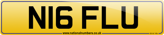 N16 FLU