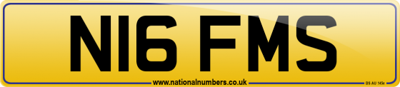 N16 FMS