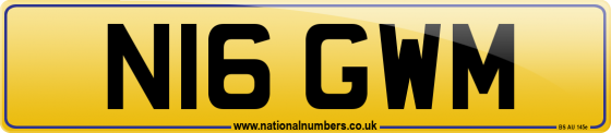 N16 GWM